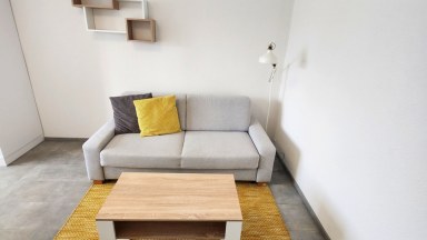 Pronájem bytu 1+1 v Plzni 42 m2