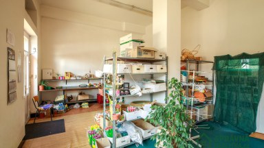 Prodej komerčních prostor, 125 m2 