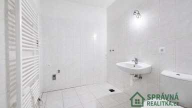 Prodej bytu 4+1, 100 m2